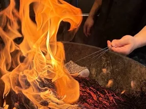 天晴れ 鮮魚と和牛 3
